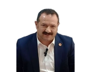 Vedat BABAOĞLU