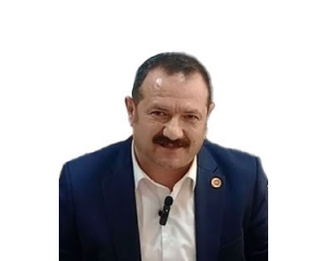 Vedat BABAOĞLU