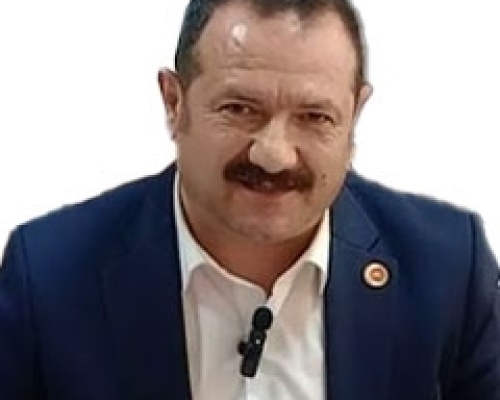 Vedat BABAOĞLU